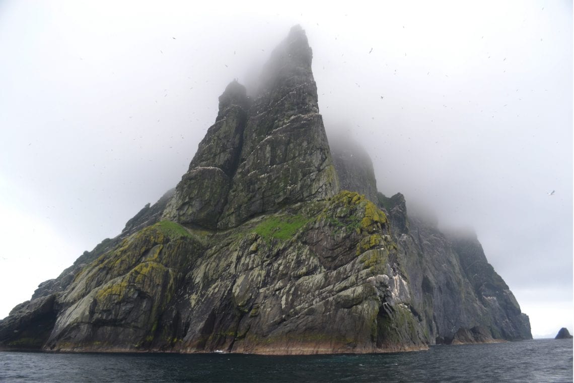 st kilda these massive cliffs are home to some of the most important bird populations they all smell pretty bad